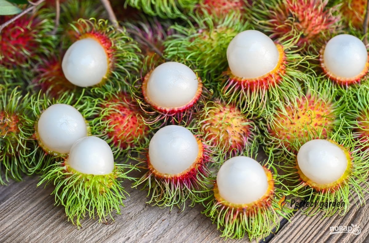 5 Seeds Rambutan Nephelium Lappaceum Sweet Juicy Tropical Malaysia Edible Fruits
