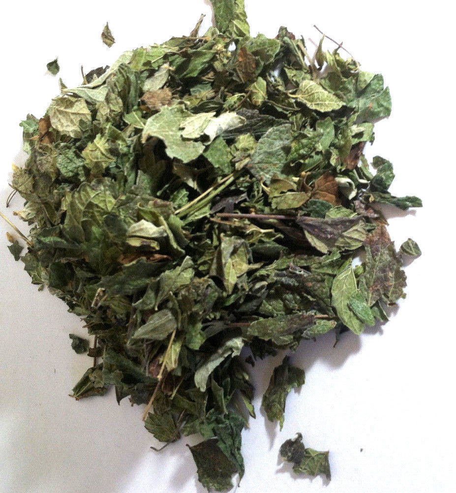 1 oz. Mexican Dream Herb (Calea Zacatechichi) Wildharvested Mexico