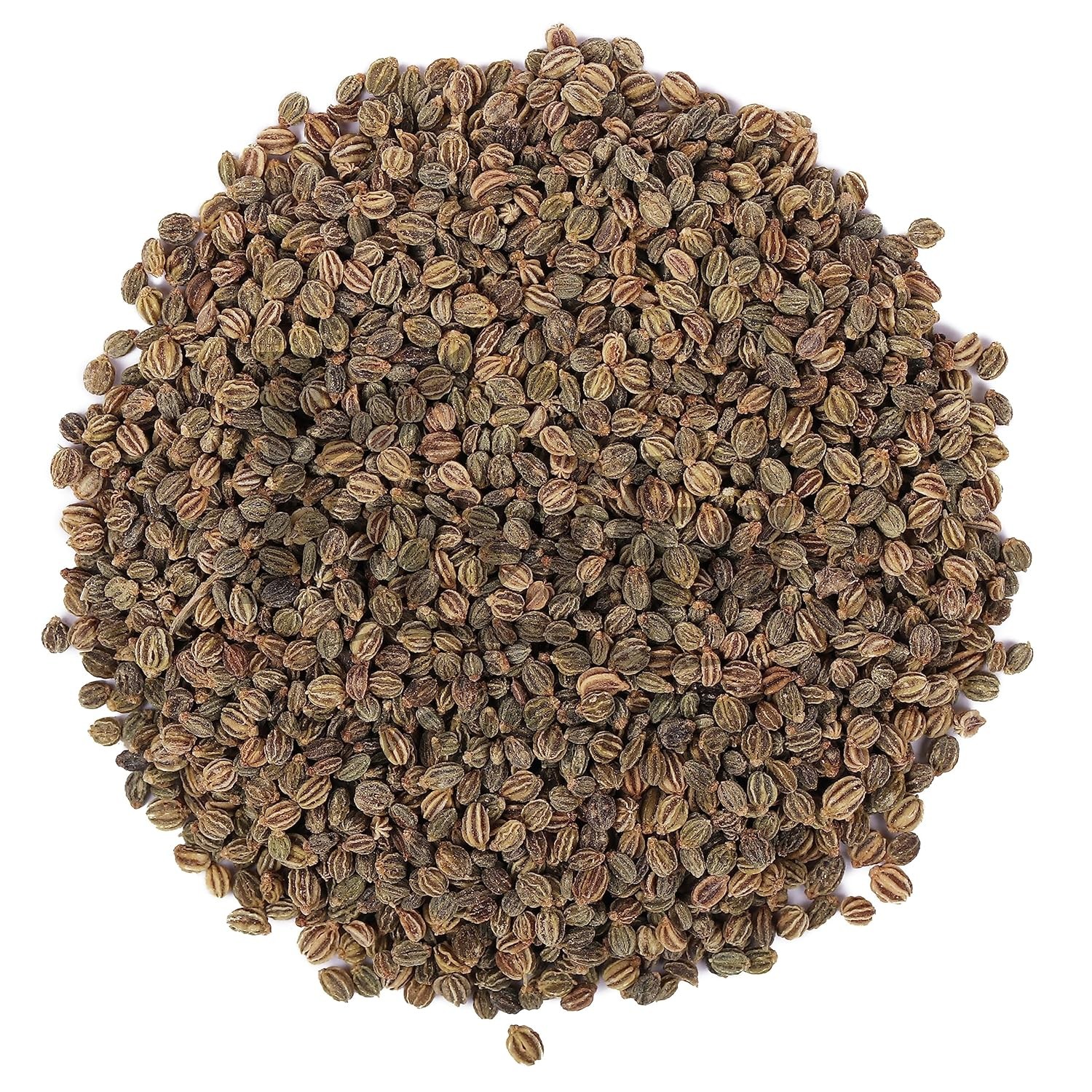 Ajmod Wild Celery: Ugragandhika Apium Graveolens