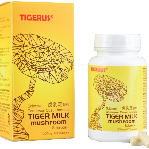 5 X ORIGINAL TIGERUS Tiger Milk Mushroom Sclerotia 60’s NEW & HALAL FREE SHIP