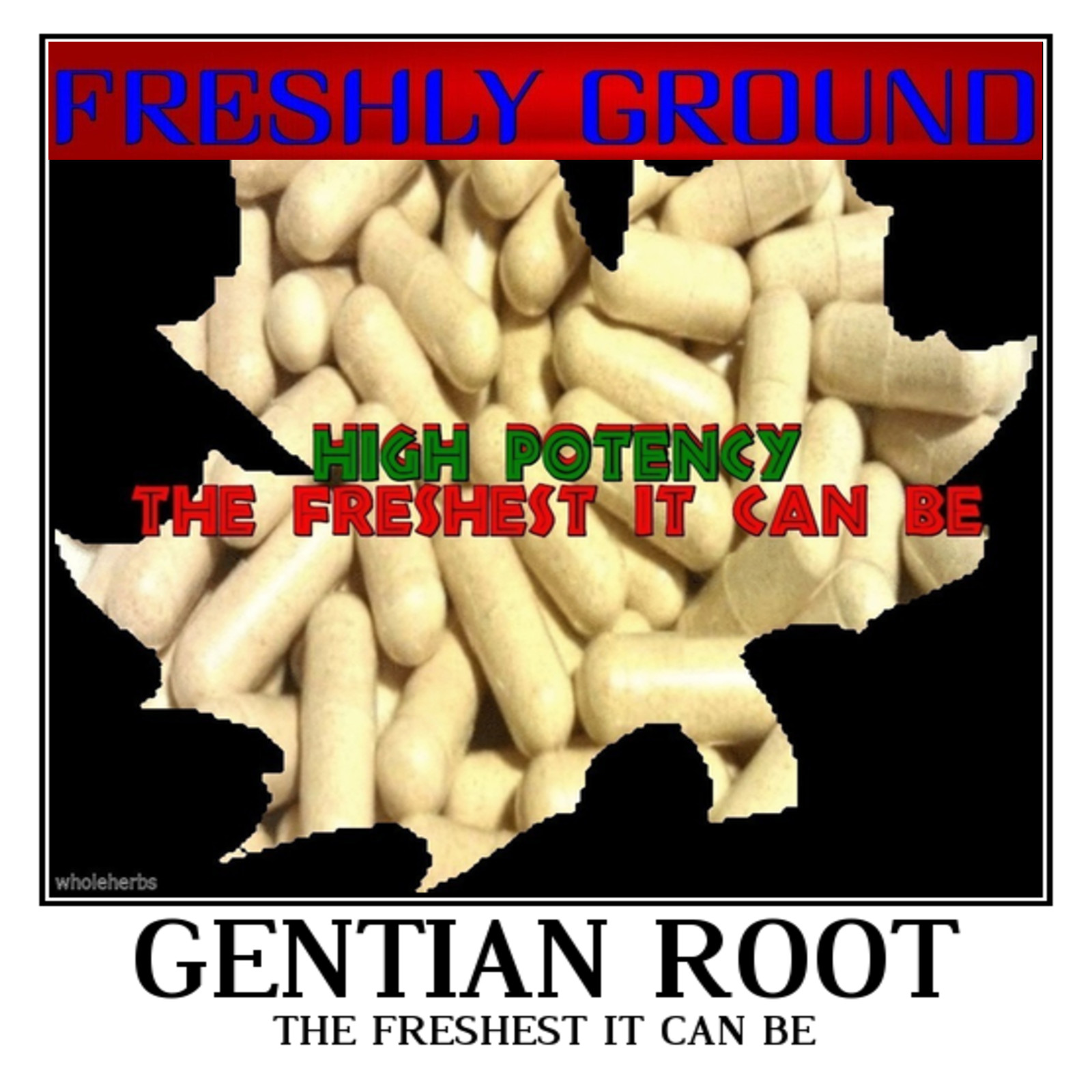 GENTIAN ROOT Fresh Ground Powder The Freshest It Can Be 100 V Capsules 400 mg