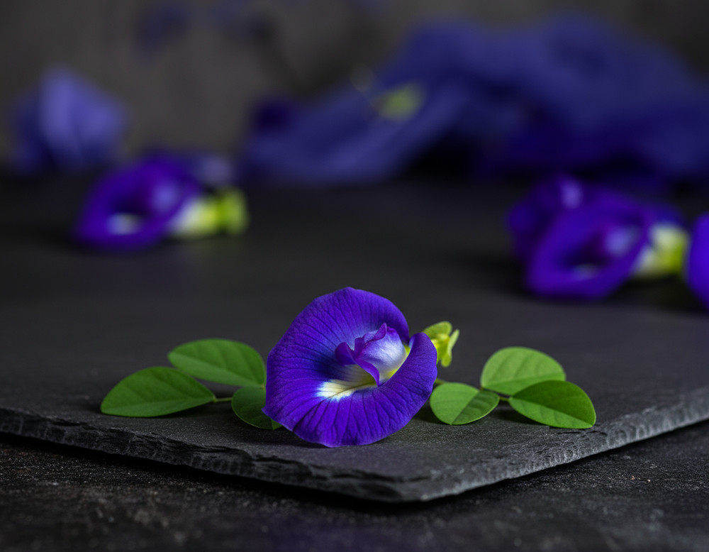 Butterfly Pea Flower Extract – Herbal / Cocktails – Beautiful Color – Drops – US