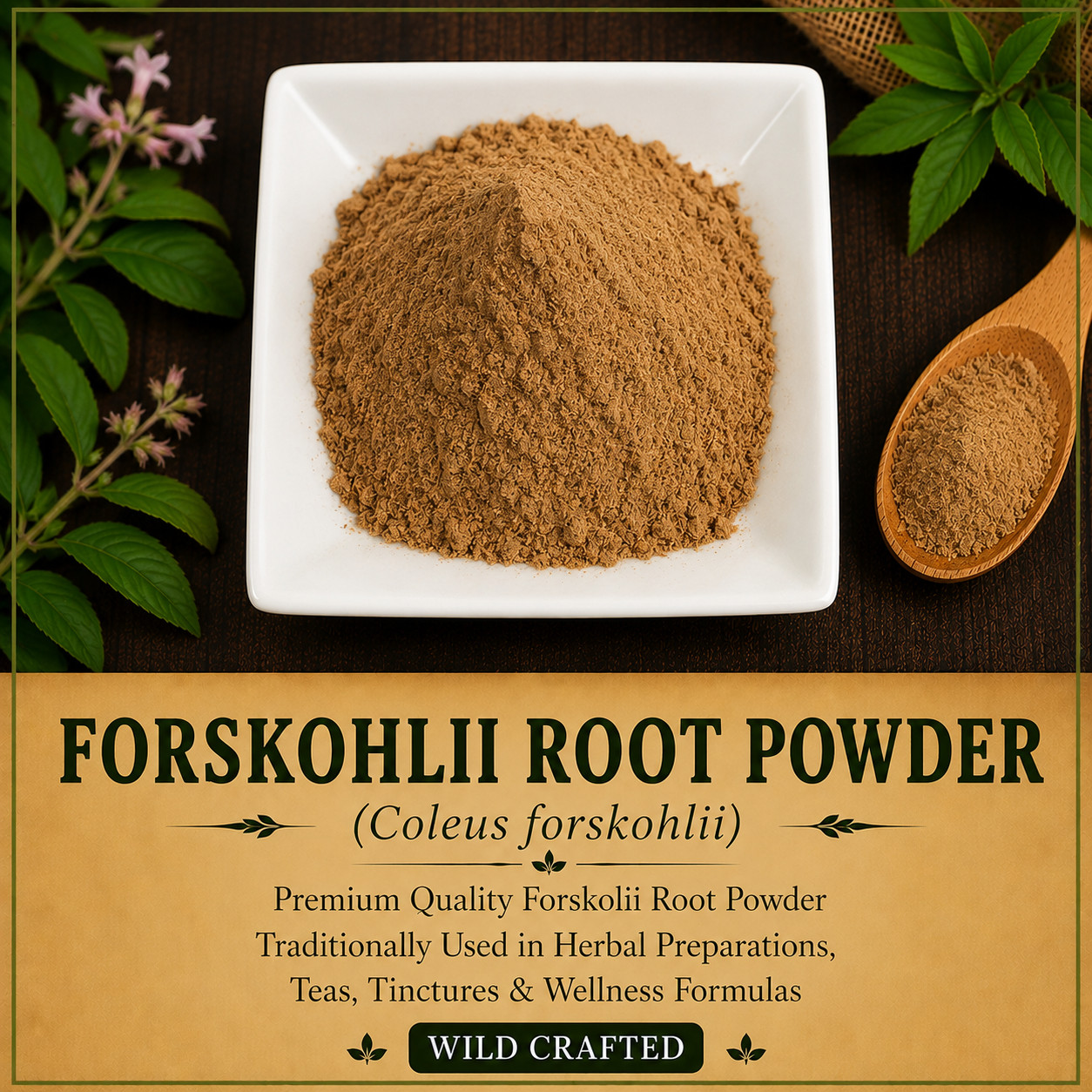 Forskohlii Root Powder Wild Crafted Coleus forskohlii Premium Herbal | USA Ship