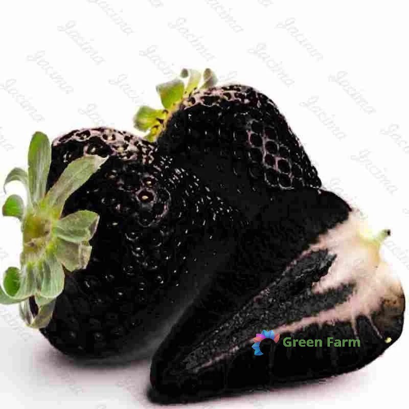 500 Seeds Black Strawberry Rare Heirloom Black Berry Organic Tasty Juicy Fruit