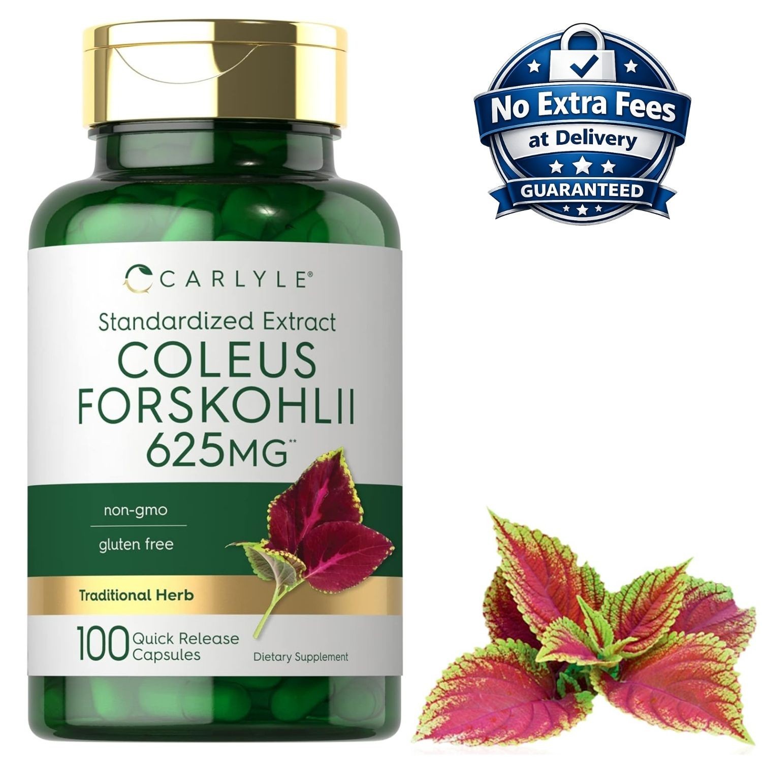 Coleus Forskohlii 625mg 100 Capsules Root Extract Supplement 100 Servings