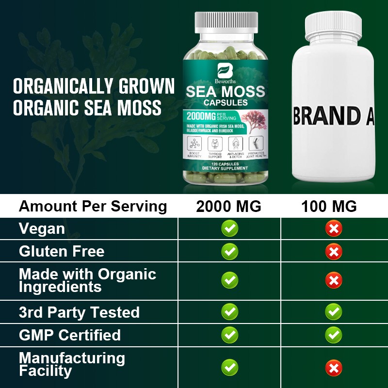 Organic Sea Moss Capsules 120ct Thyroid Support & Immune Booster w/Bladderwrack