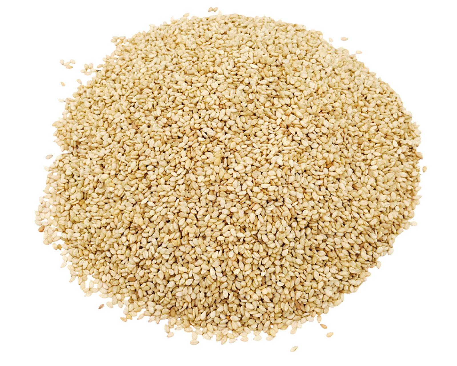 Organic Raw Sesame Seeds with Shell – Natural Unprocessed Bulk Seeds