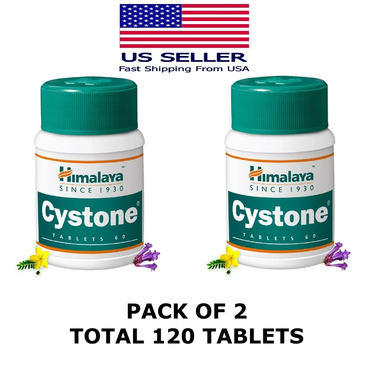 Cystone Himalaya 60 Tablets USA Seller Free Shipping (Pack Of 2)