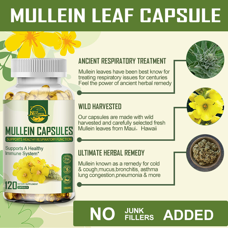 3 X 120 Mullein Leaf Capsule For Lung Cleansing&Detox Herbal Dietary Supplement