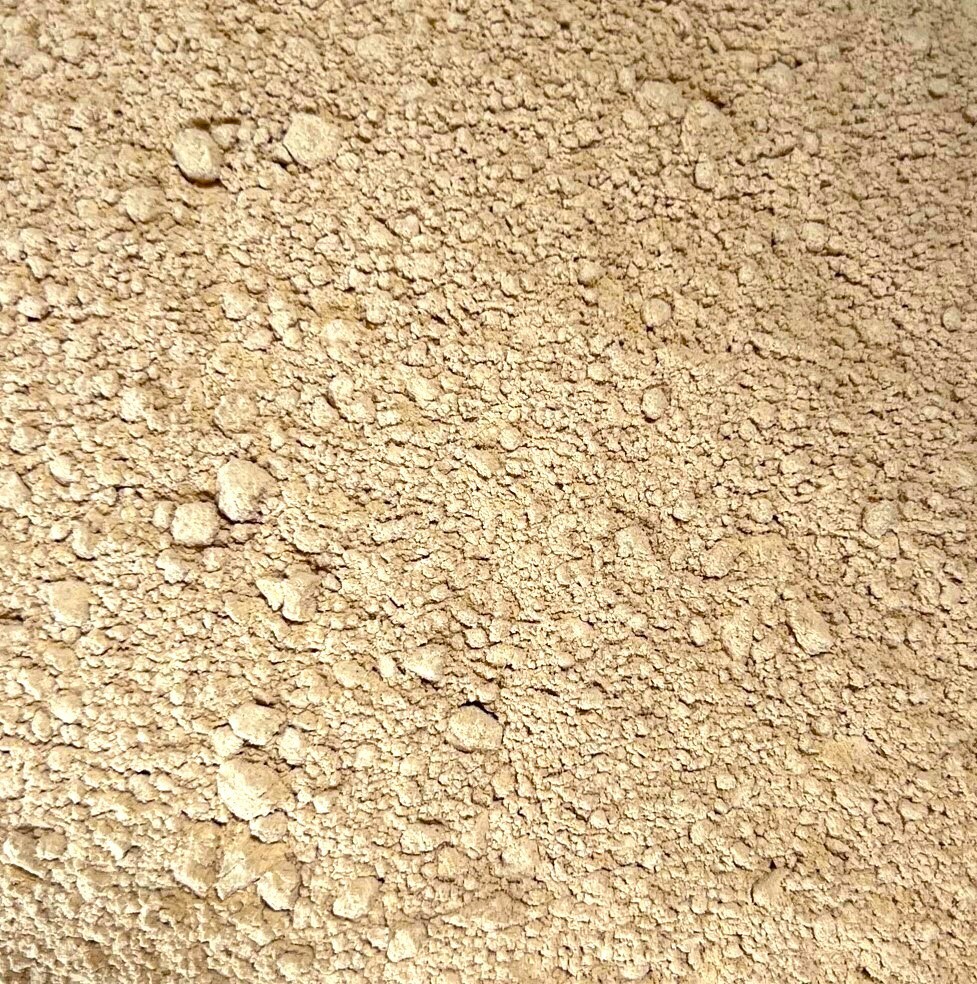Maitake Mushroom Powder BULK HERBS 1 lb.