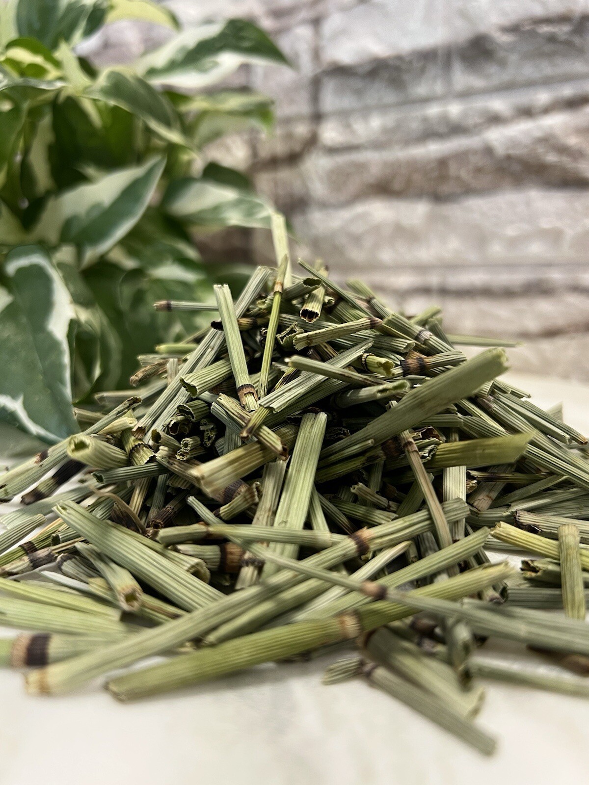 Cola de Caballo 3oz Hierba Horsetail Herb Shavegrass Shave Grass Herbal Tea Natu