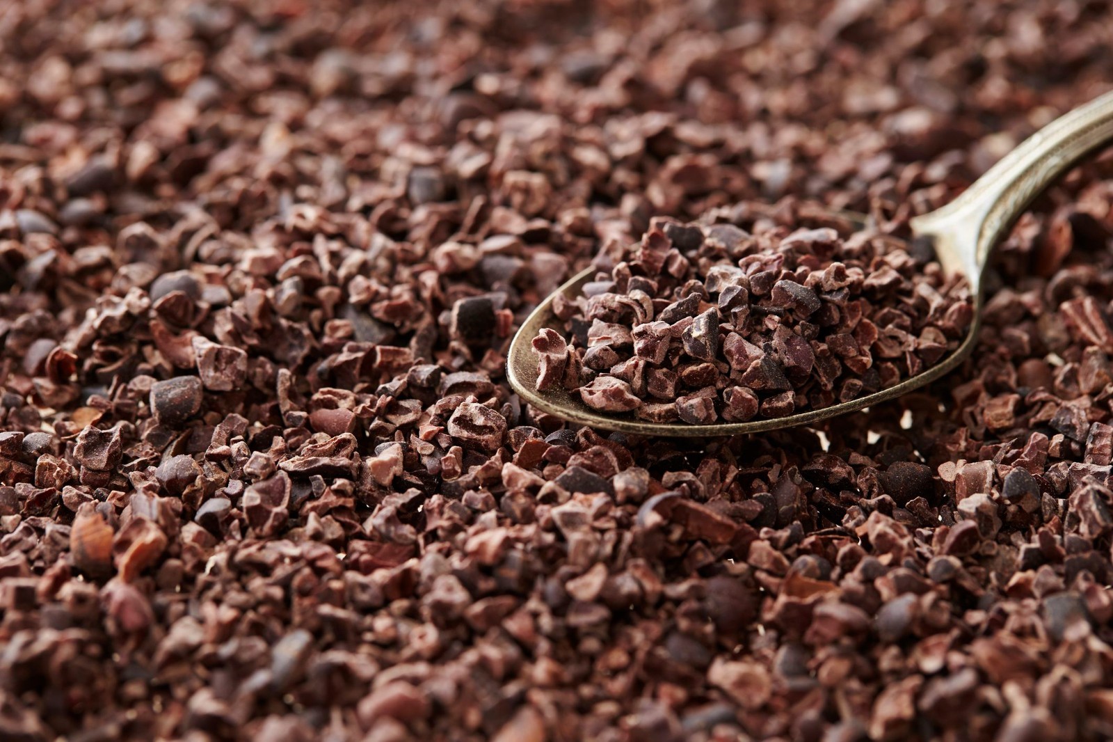 Queen Tee’s Cocoa Tincture (Theobroma cacao) 15 ml.