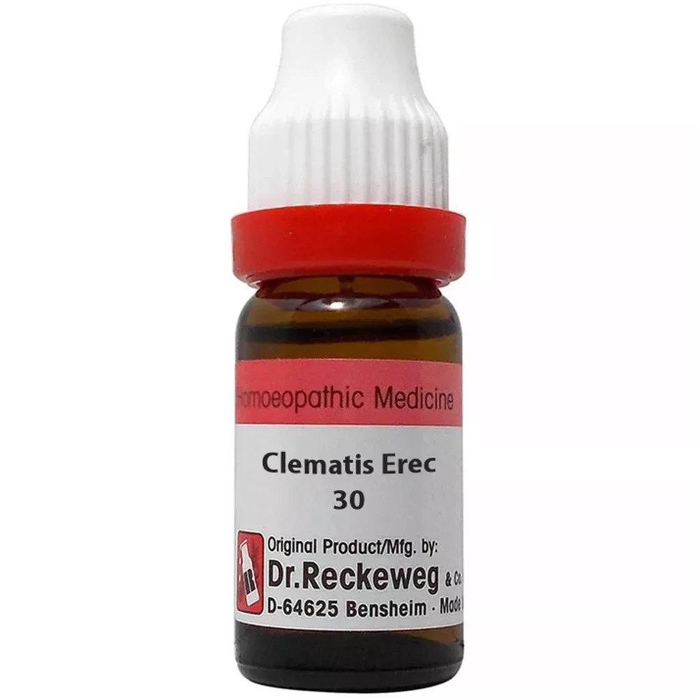 Dr. Reckeweg Clematis Erec Dilution 30 CH Free Shipping
