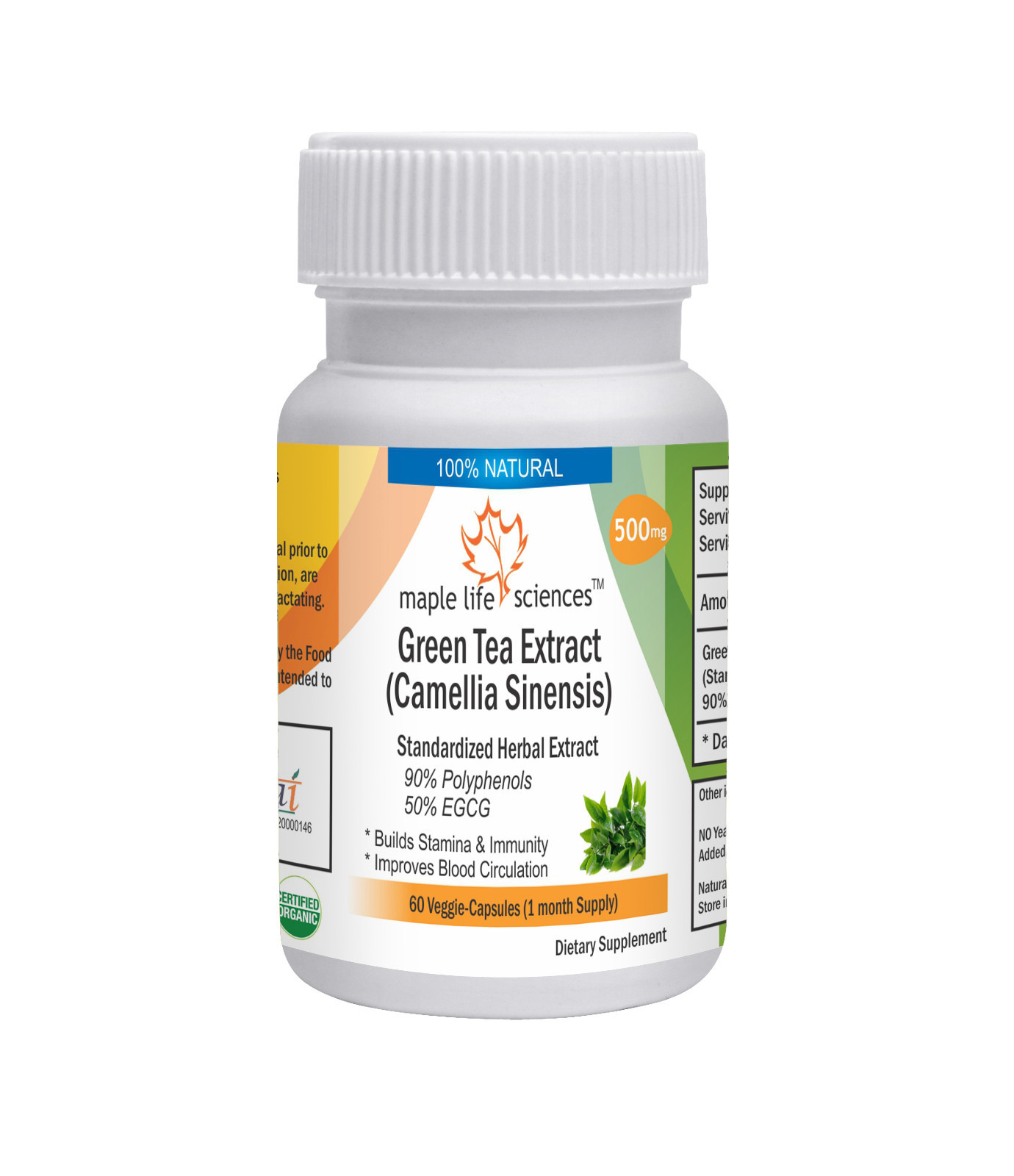 Green Tea Extract 90% Polyphenols 50% EGCG Pure Green Tea Extract Capsules