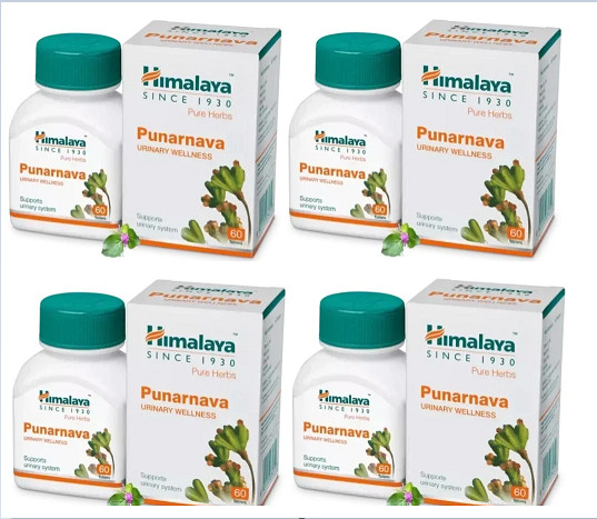 Himalaya Punarnava Tablets Pack Of 4x 60 tabs Each Fast Free Shipping Exp 2028