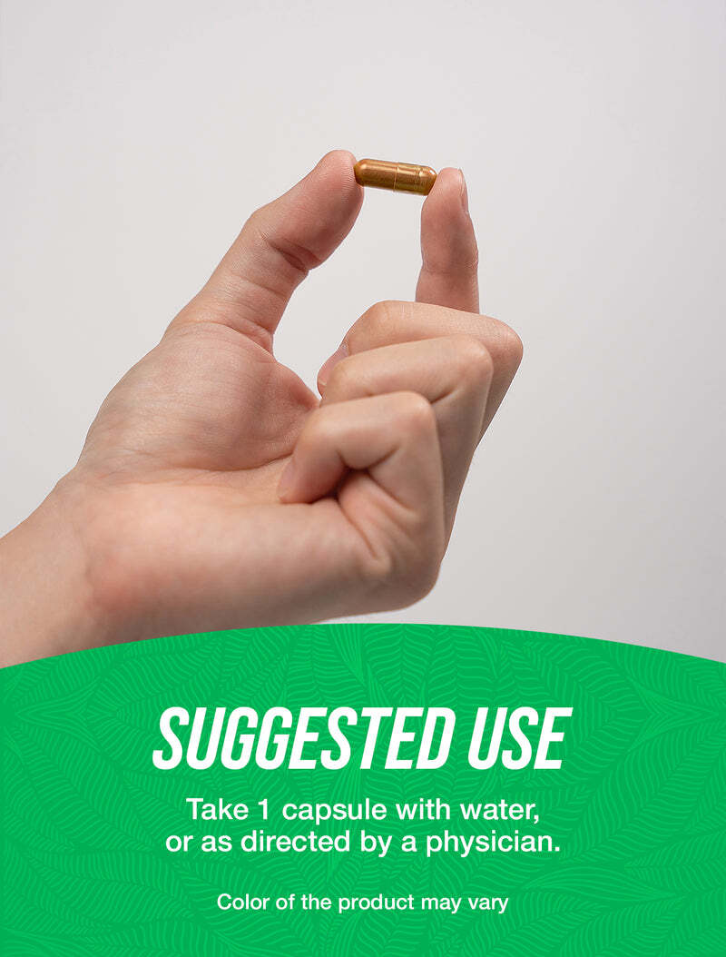 BulkSupplements Aloe Vera Extract Capsules – 100mg Per Serving