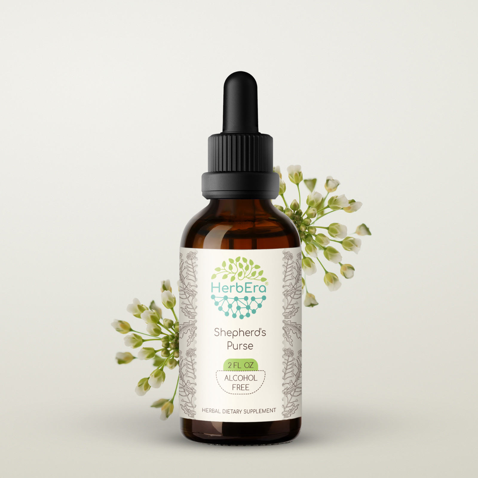 HerbEra Shepherd’s Purse Alcohol-FREE Tincture Organic (Capsella Bursa-Pastoris)