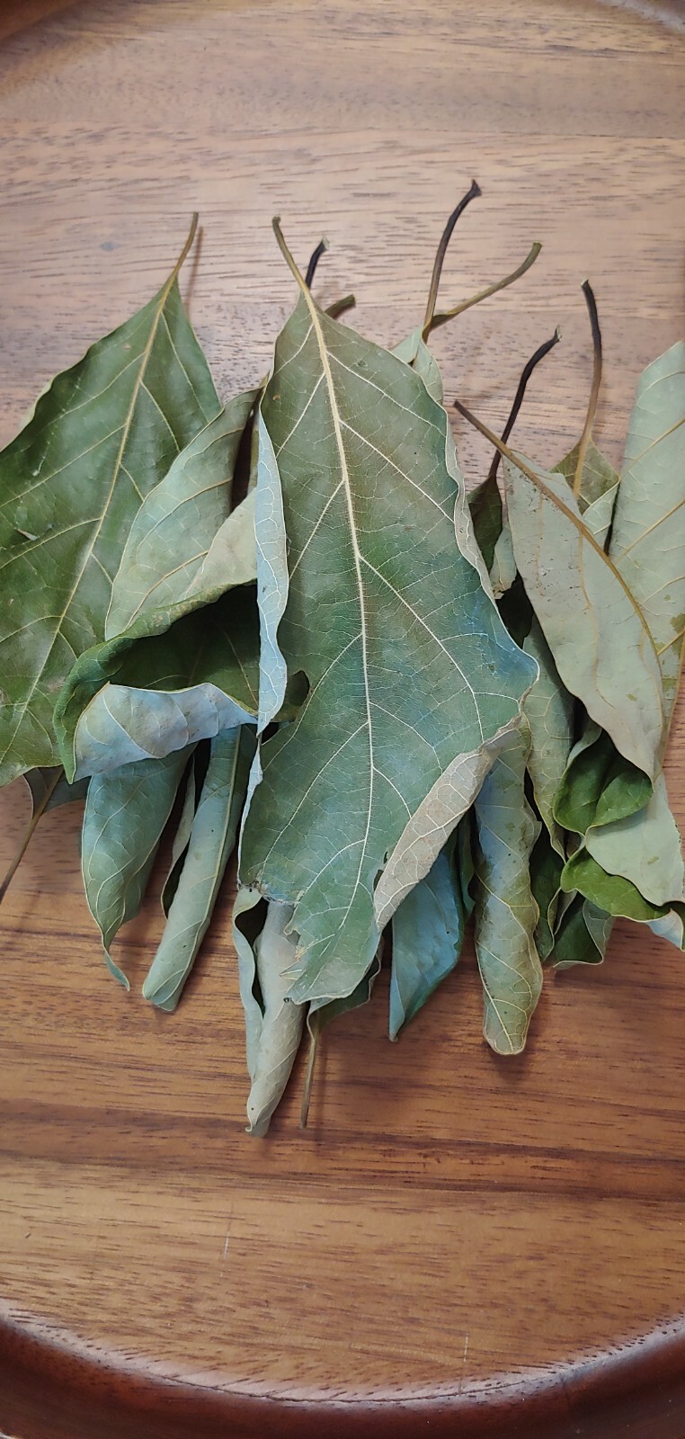 Organic Hoja de Aguacate Avocado Leaves 4 oz dried herb
