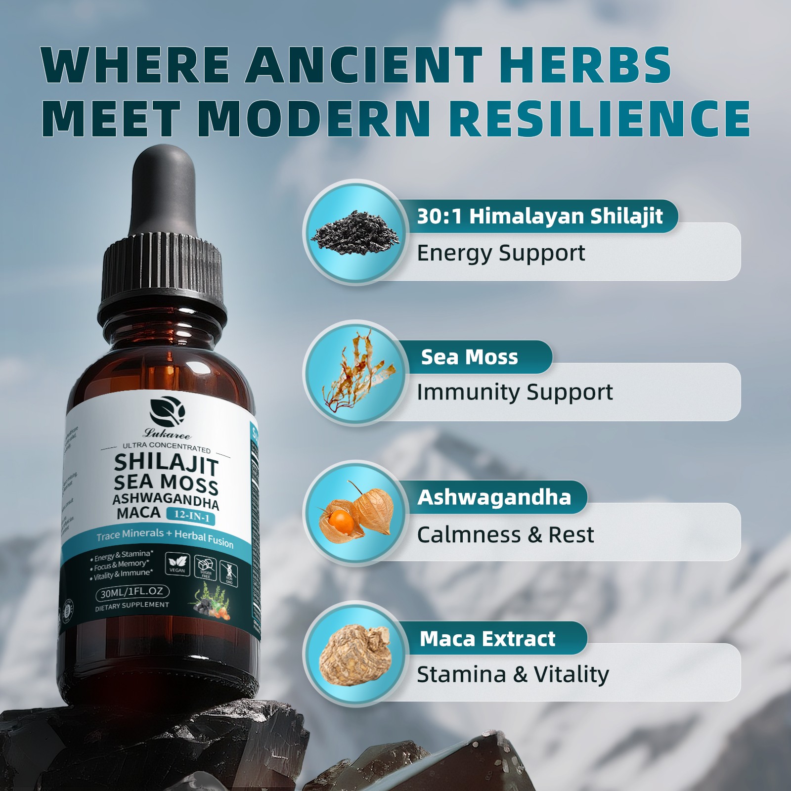 Himalayan Shilajit Drops 12-in-1 Complex Sea Moss, Ashwagandha, Maca 60ML/2 oz