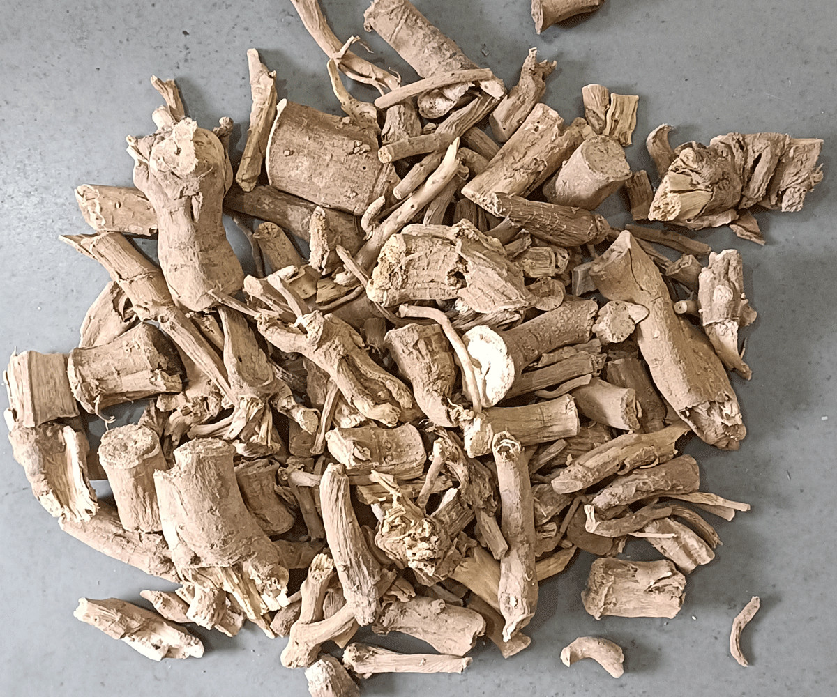 Kushta Roots Saussurea Lappa (Costus) Indian Raw & Whole Herbs – 100 gram