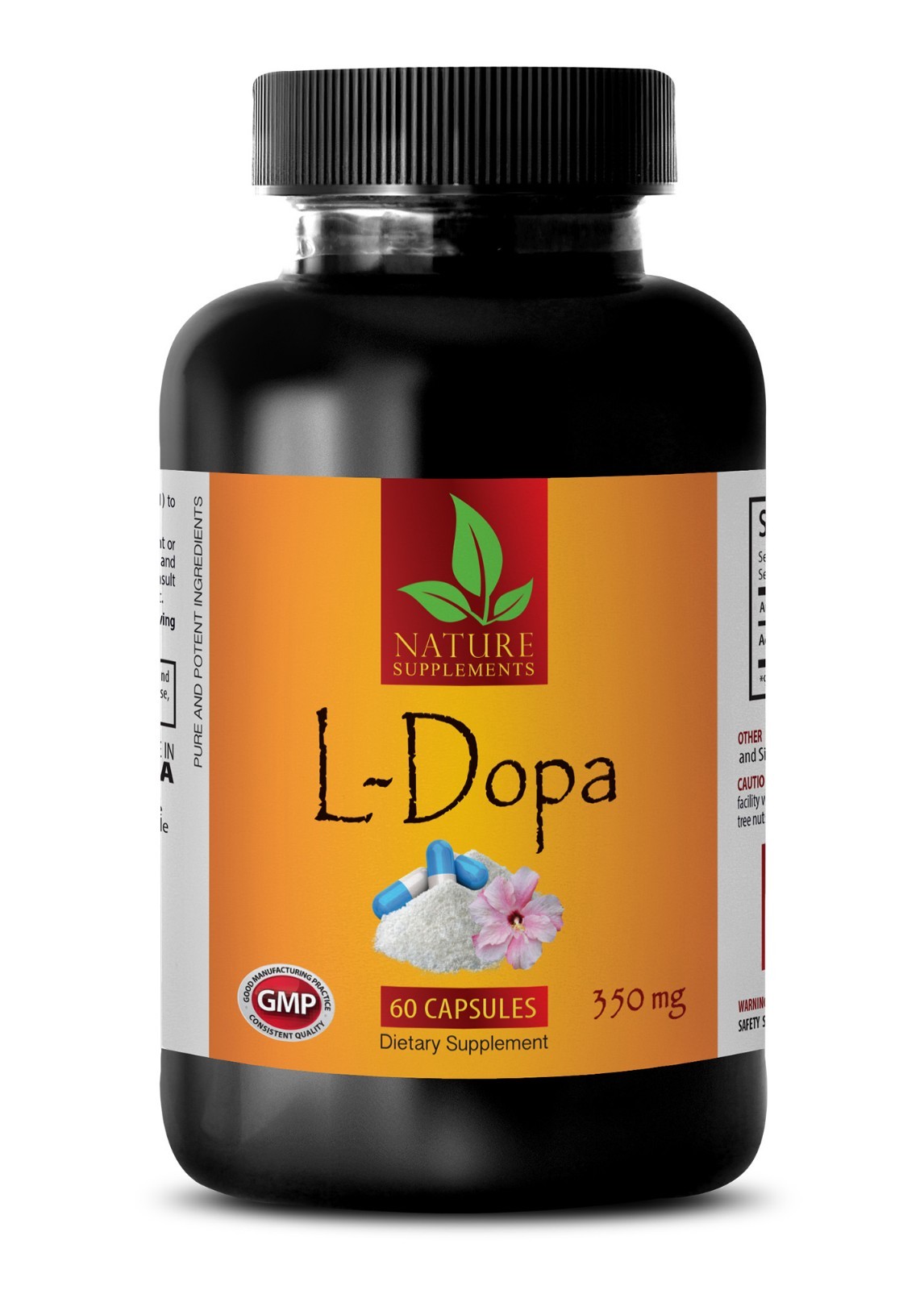 Mucuna pruriens – L-DOPA Extract 99% – memory supplement – 60 Capsules