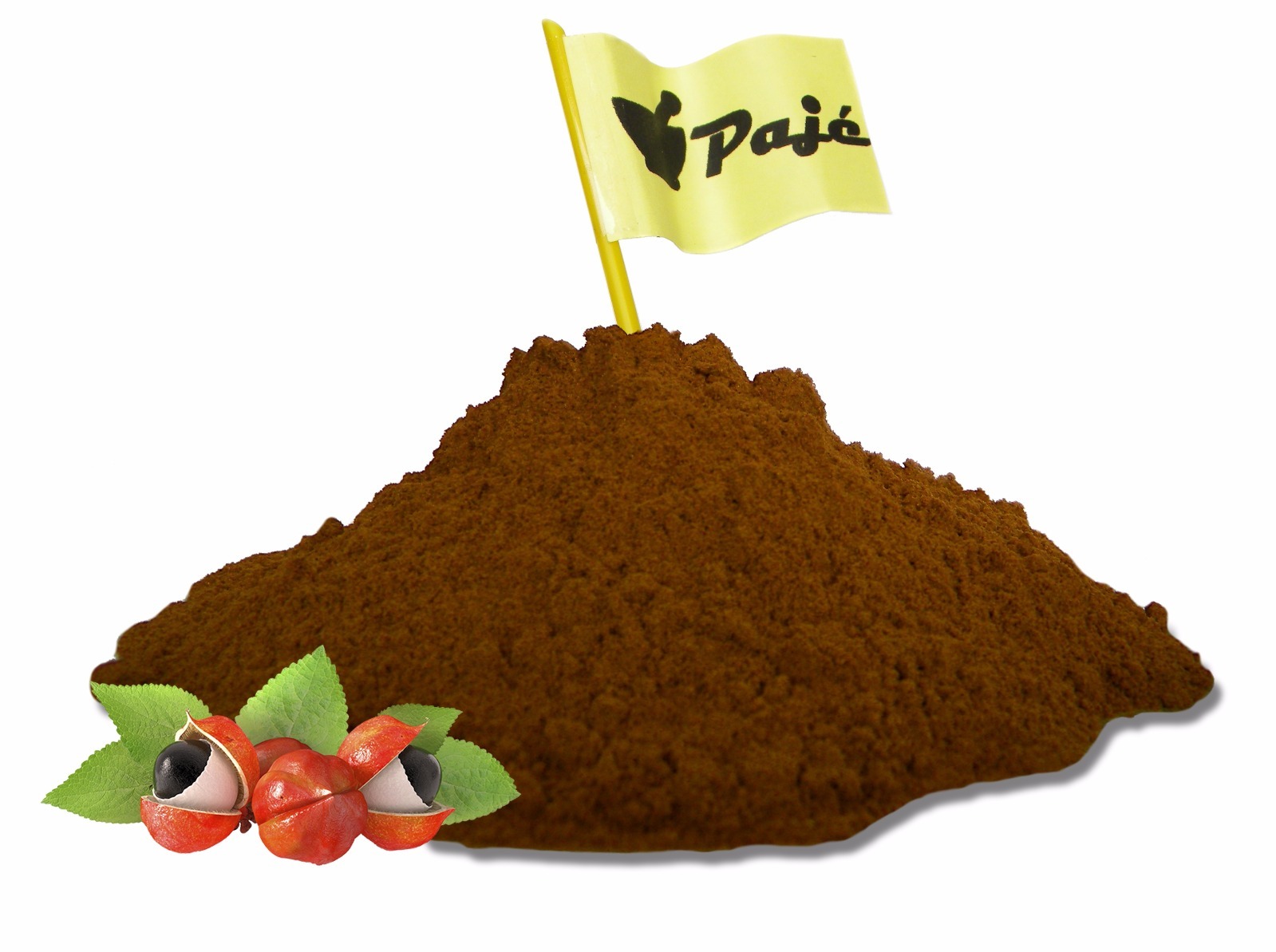 Guarana seed powder 4oz – weight loss, energy boost, memory sharpness – PAJE