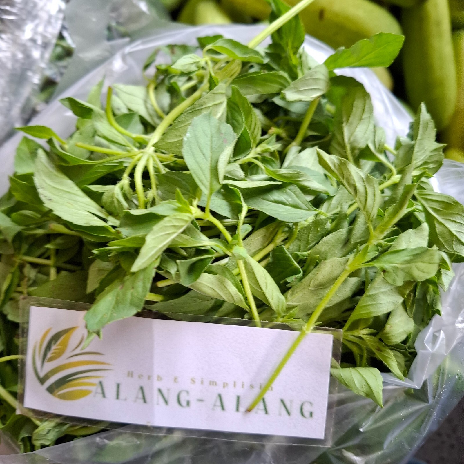Daun Kemangi (Ocimum Americanum) Sweet Basil Dried Leaves