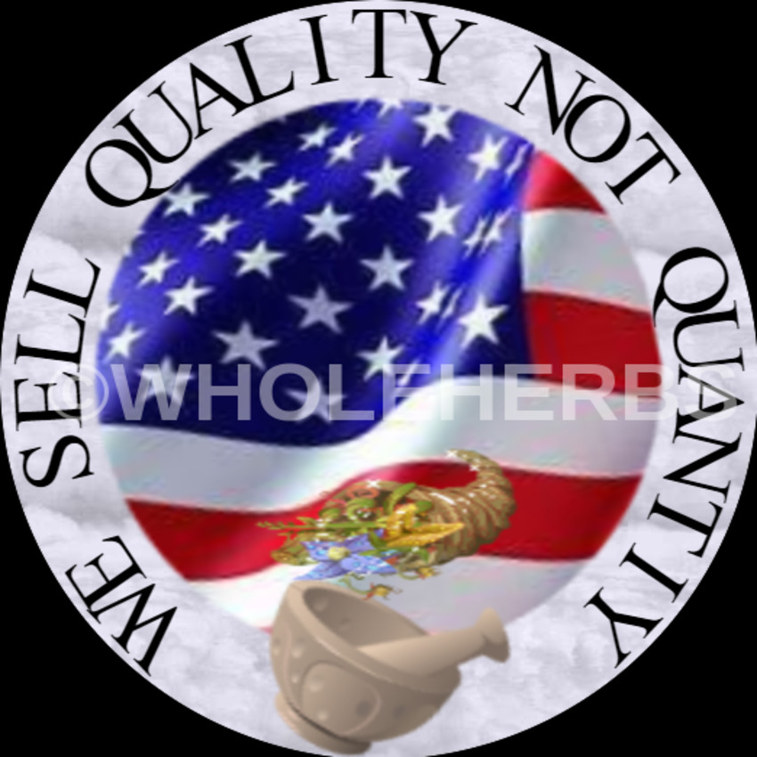 CELERY SEED Powder The Freshest It Can Be Fresh Ground 100 V Capsules