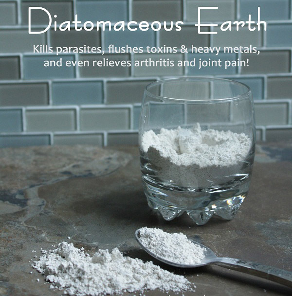 1000 Diatomaceous Earth Capsules Bulk – Best Wholesale Price, Buy More and Save!