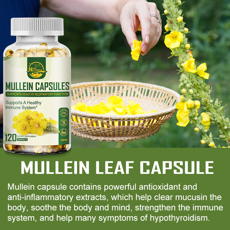 3 X 120 Mullein Leaf Capsule For Lung Cleansing&Detox Herbal Dietary Supplement