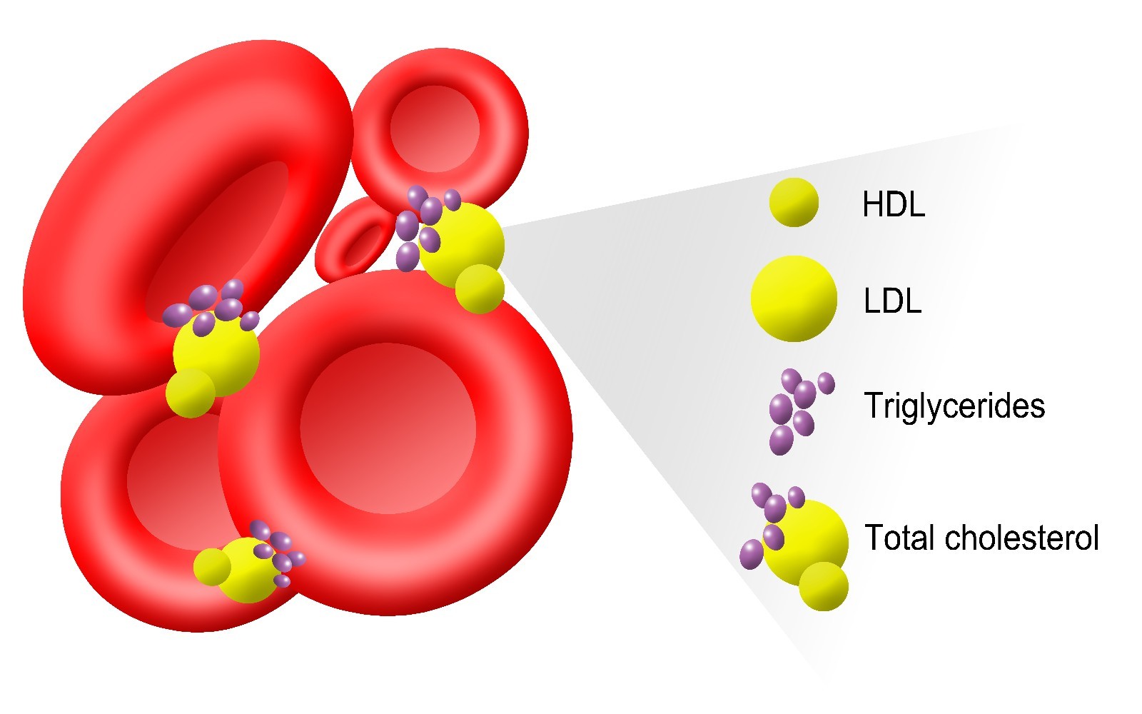 Heart Health-CHOLESTEROL RELIEF-Causes significant decrease of Cholesterol – 120