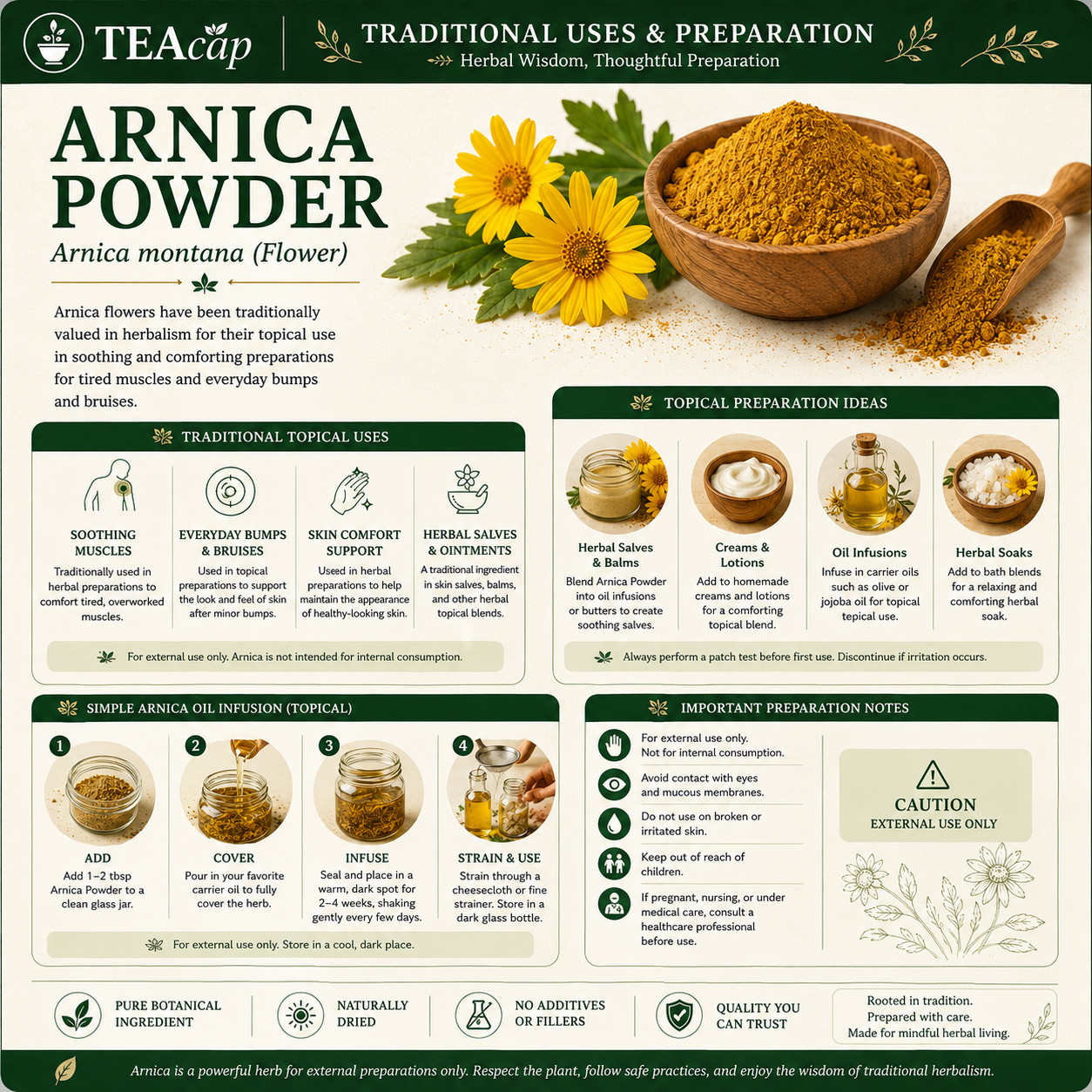 Arnica Flower |Whole or Powder | Natural Muscle & Joint Support | 1/4/8 oz Sizes