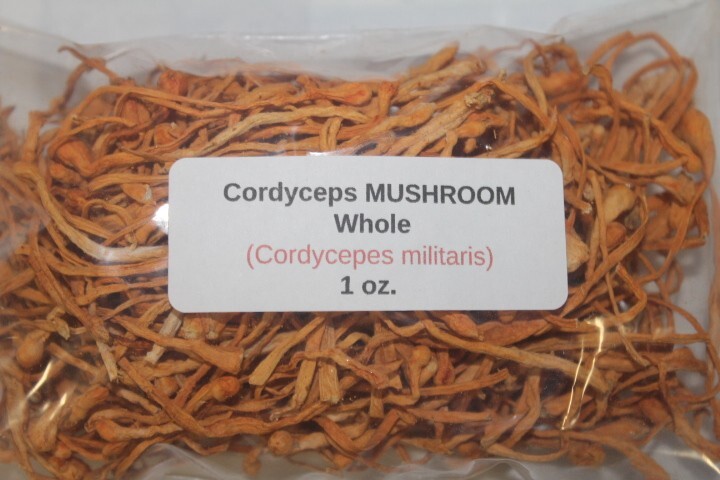 1 oz. Cordyceps MUSHROOM Whole (Cordycepes militaris)