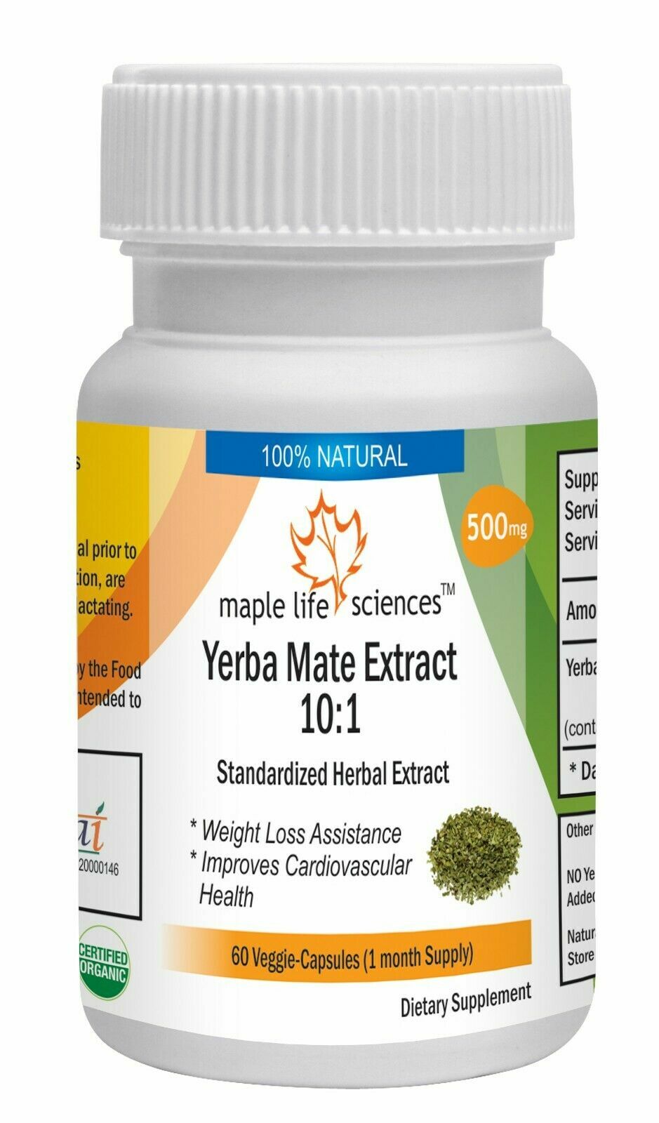Yerba Mate 10:1 Extract Capsules Stimulant Pure & High Quality
