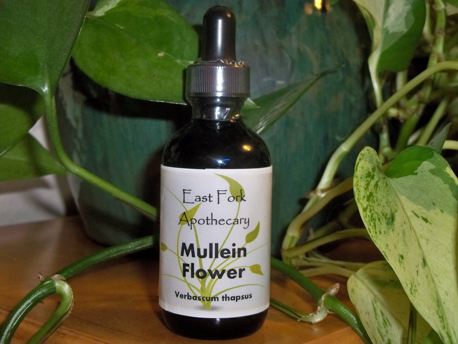 Mullein Flower Tincture 1 oz. Wildcrafted