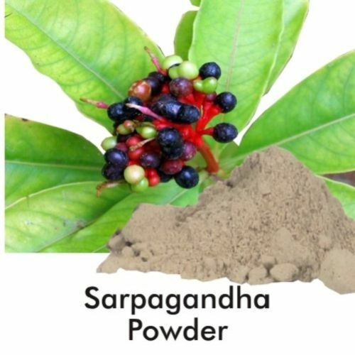 SARPAGANDHA snakeroot ,Rauwolfia serpentina POWDER 100% PURE FREE SHIP