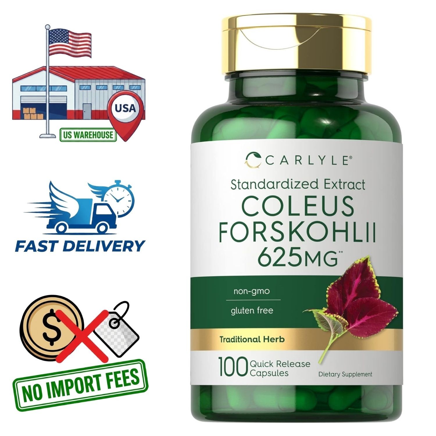 Coleus Forskohlii 625mg | 100 Capsules | Root Extract | 2.5mg Forskolin