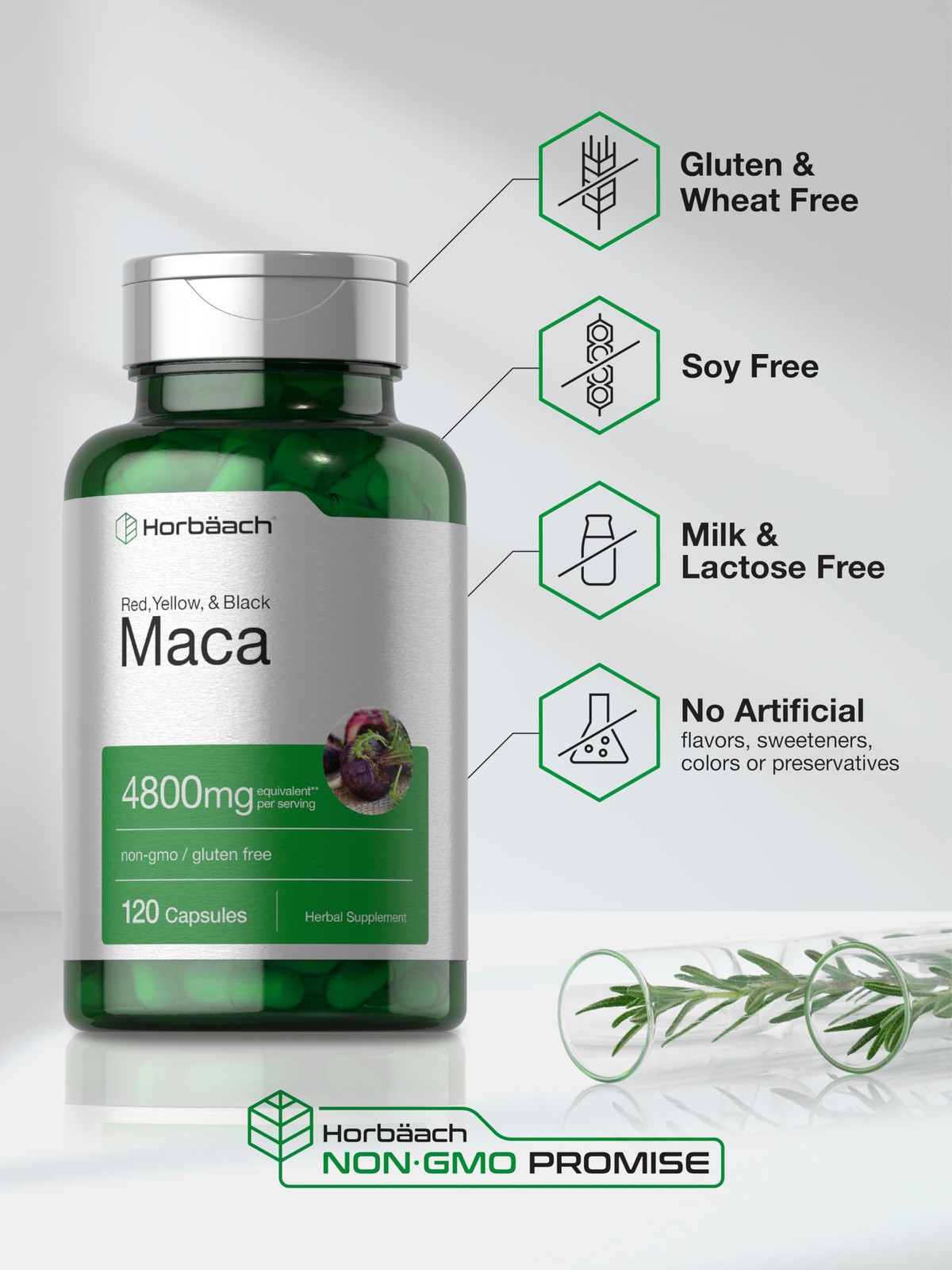 Horbaach Maca Root Capsules For Men And Women | 120 Pills | High