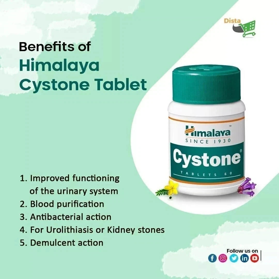 Himalaya Cystone Tablets Pack of 10 | Herbal | Free Shipping | Urinary Care