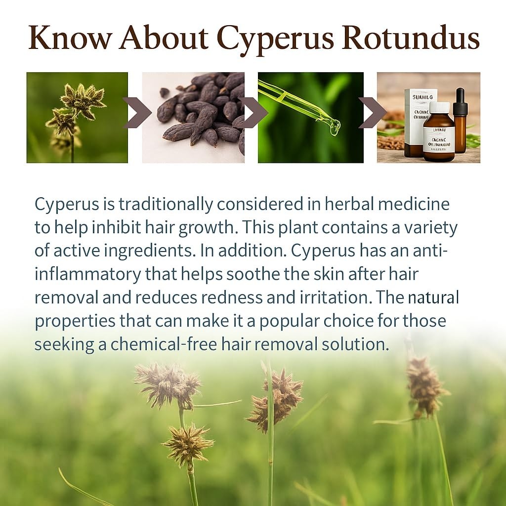 Cyperus Rotundus Oil 2 Pack 100% Pure Natural Organic Hair Removal 60ml