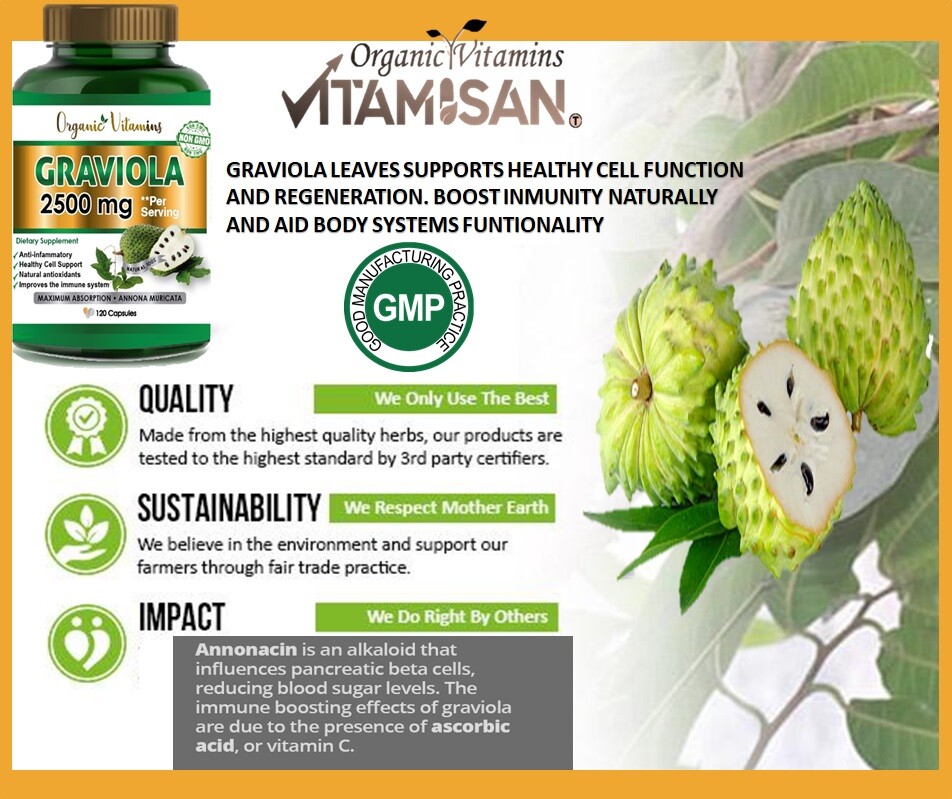 Graviola Capsules Supplements 100% Natural 2500 mg ANTIOXIDANTS 120