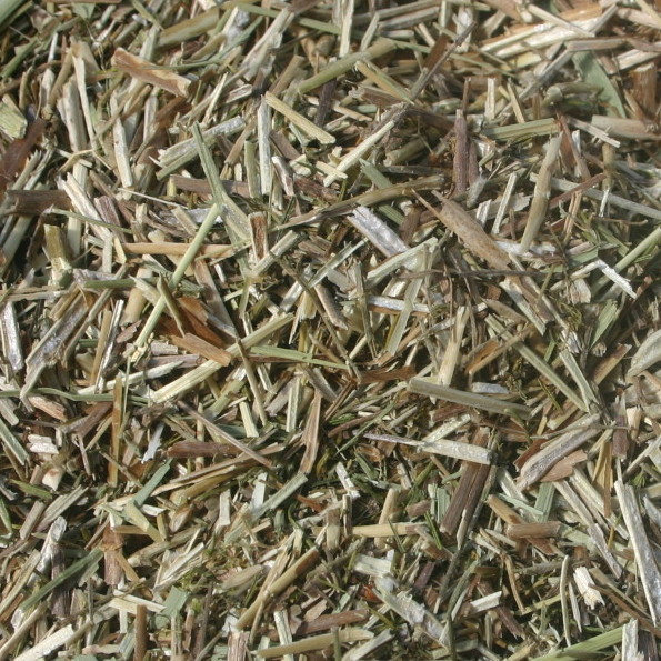 Boneset BULK HERBS 4 oz.