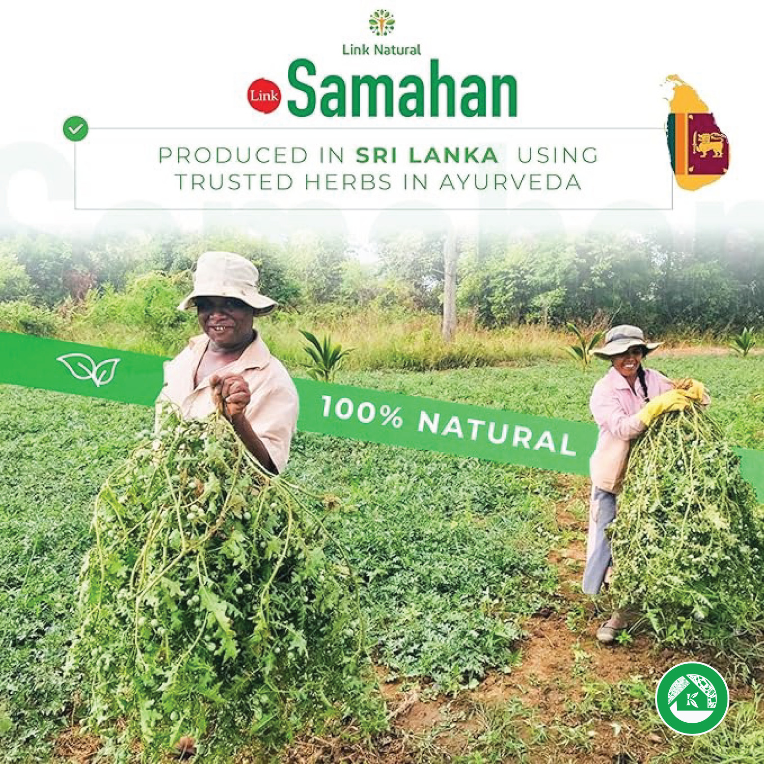Sri Lanka Herbal Te, Link Samahan, Ayurvedic, Cold, Flu, Supplement, 10 Sachets
