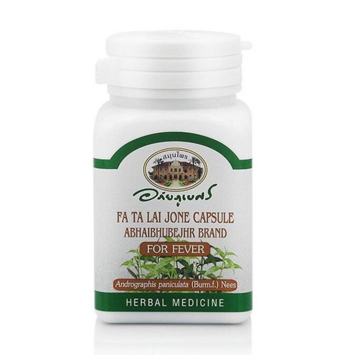 ANDROGRAPHIS PANICULATA ABHAIBHUBEJHR BRAND FOR FEVER 400MG x2