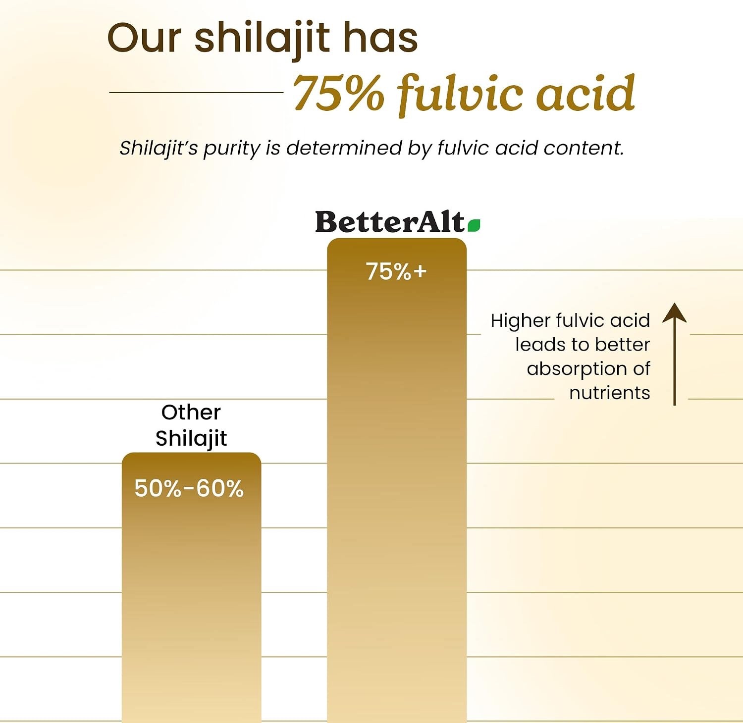 Better Alt Pure Himalayan Shilajit Resin Pack of 1 High Potency Gold Grade (New)