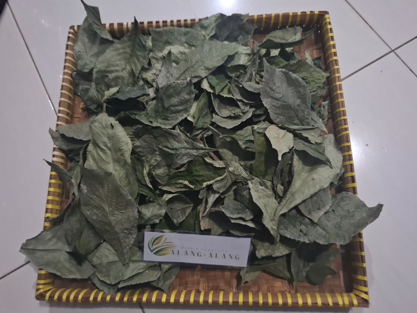 Daun Keji Beling ( Strobilanthes Crispus ) Black Face General Dried Leaves