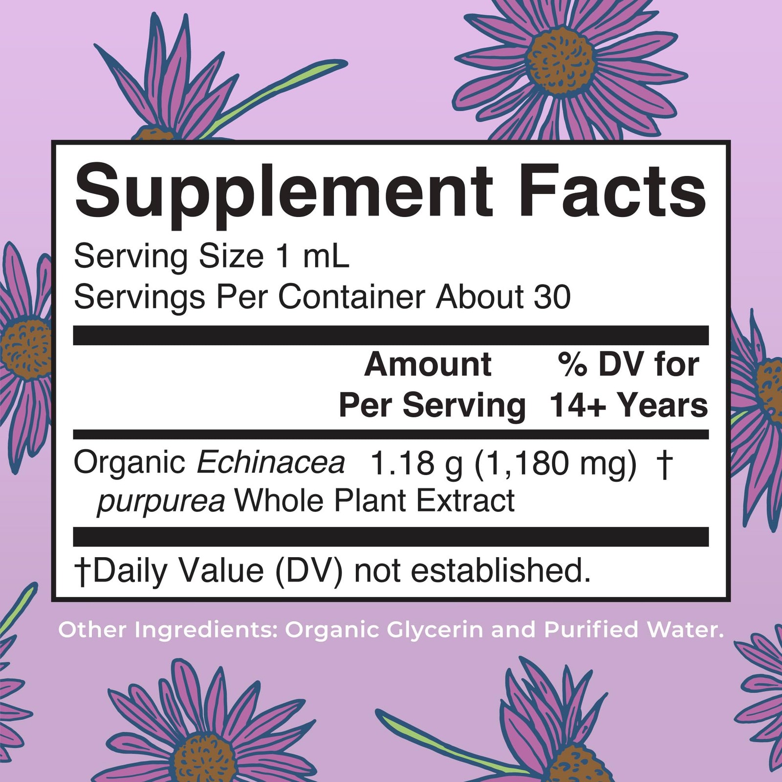 Organics Echinacea Purpurea Liquid | Sugar Free | USDA Organic | Echinacea Li…