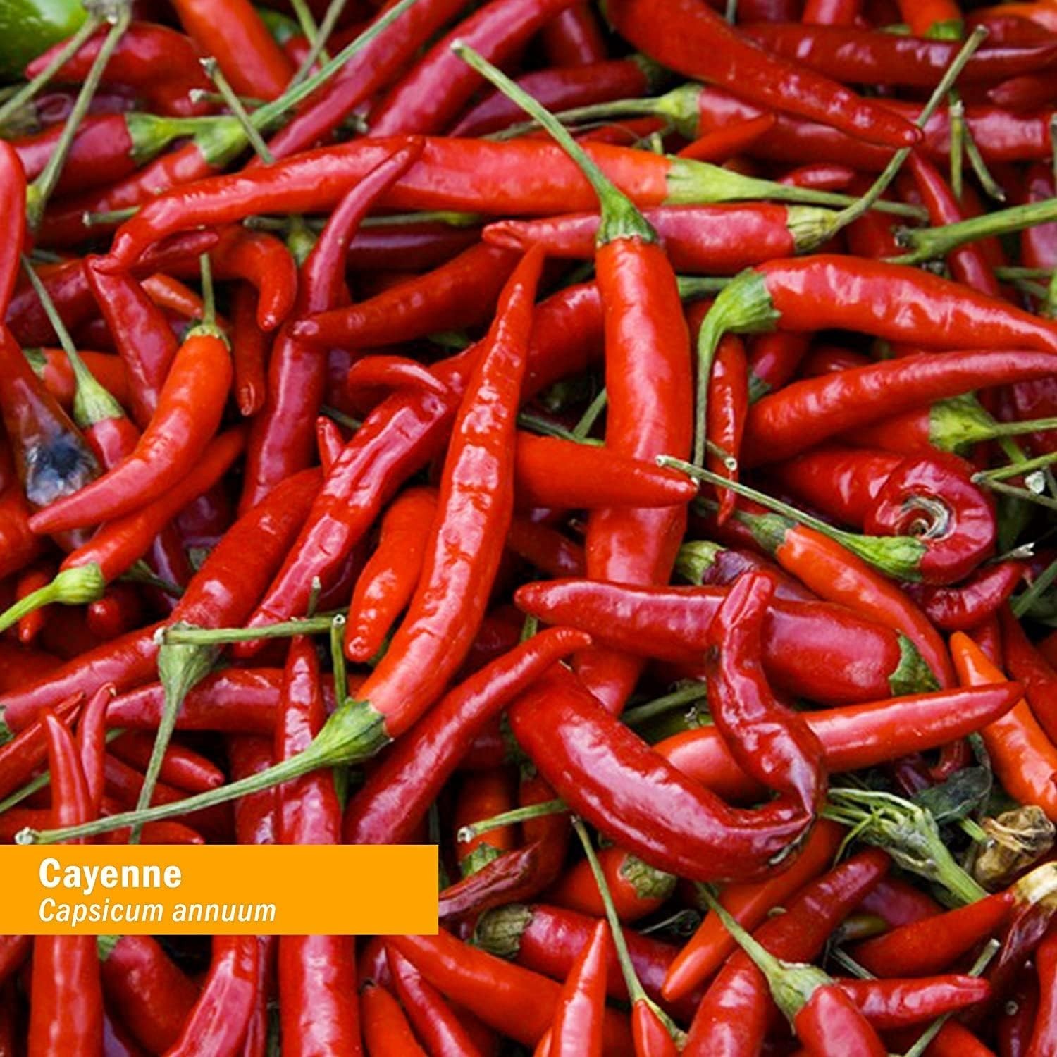 Certified Organic Cayenne Extract Drops for Cardiovascular and Circulatory Su…