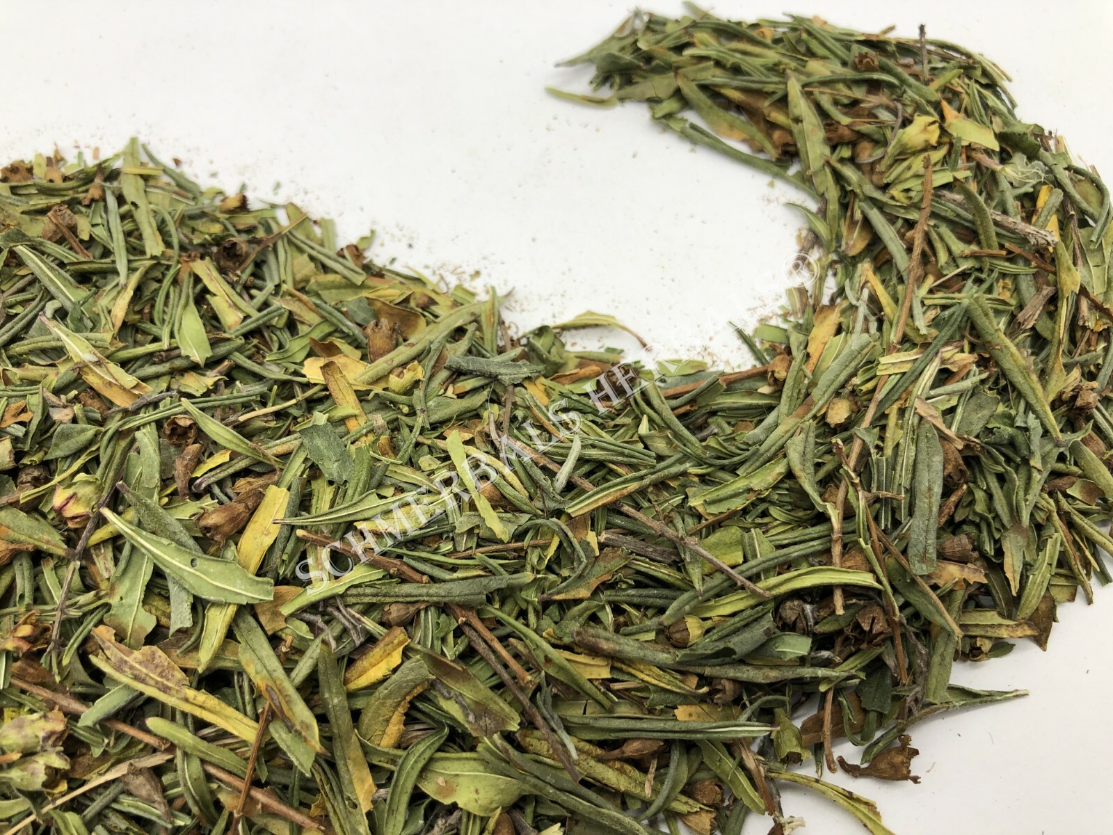 Sun Opener, Heimia salicifolia, All Natural Leaf ~ Schmerbals Herbals