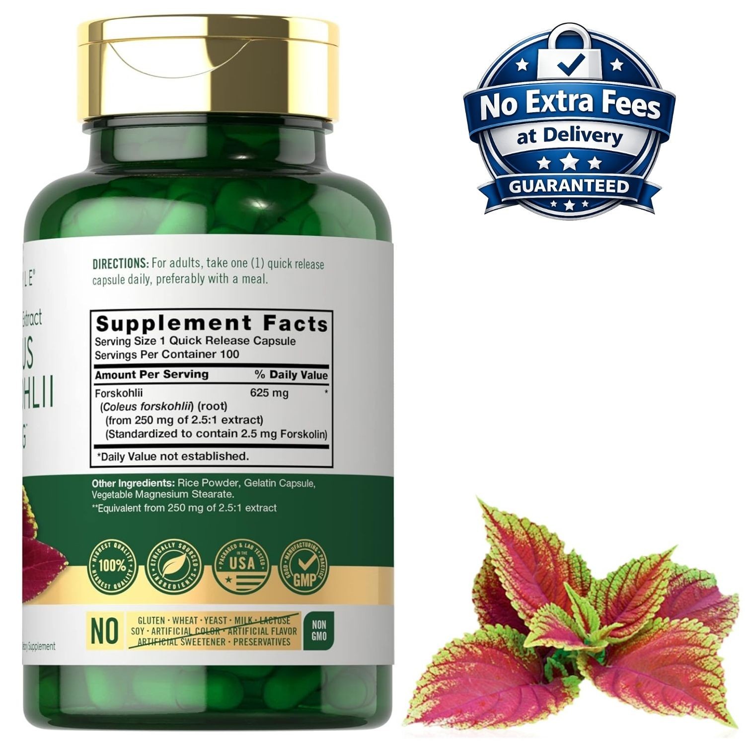 Coleus Forskohlii 625mg 100 Cápsulas Extracto de Raíz 100 Porciones
